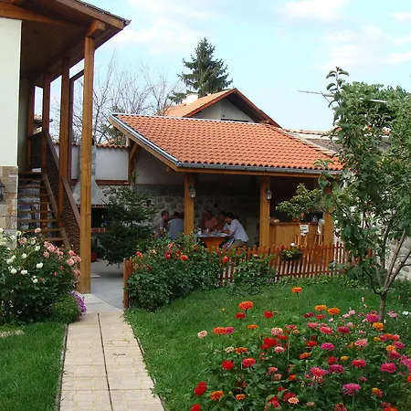 Guest house Lirik 3*